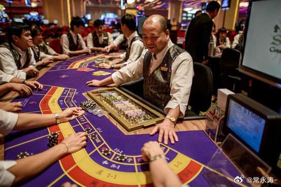 新澳门今晚结果开奖查询,全方位展开数据规划_触控版33.974