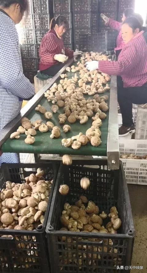 中脉上市指南，详细步骤带你了解中脉上市之路