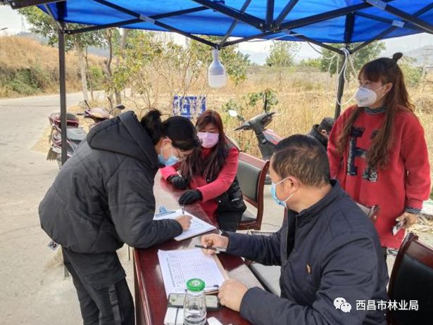 西昌市佑君镇最新消息更新速递