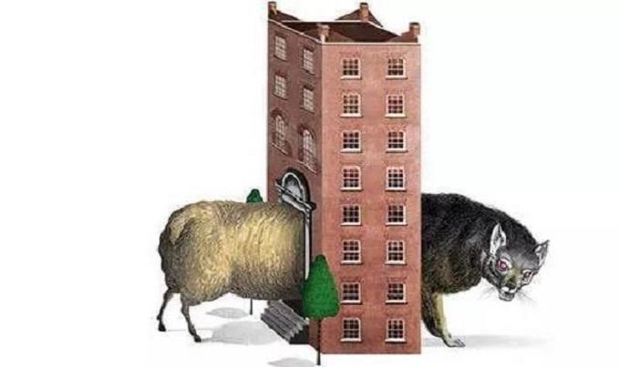 海南经富大宗最新公告与小巷美食宝藏探秘