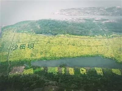 泸州太伏事件最新进展更新