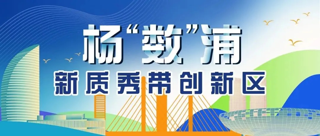 杨浦区最新干部任免，小巷深处的风景与美食引人瞩目