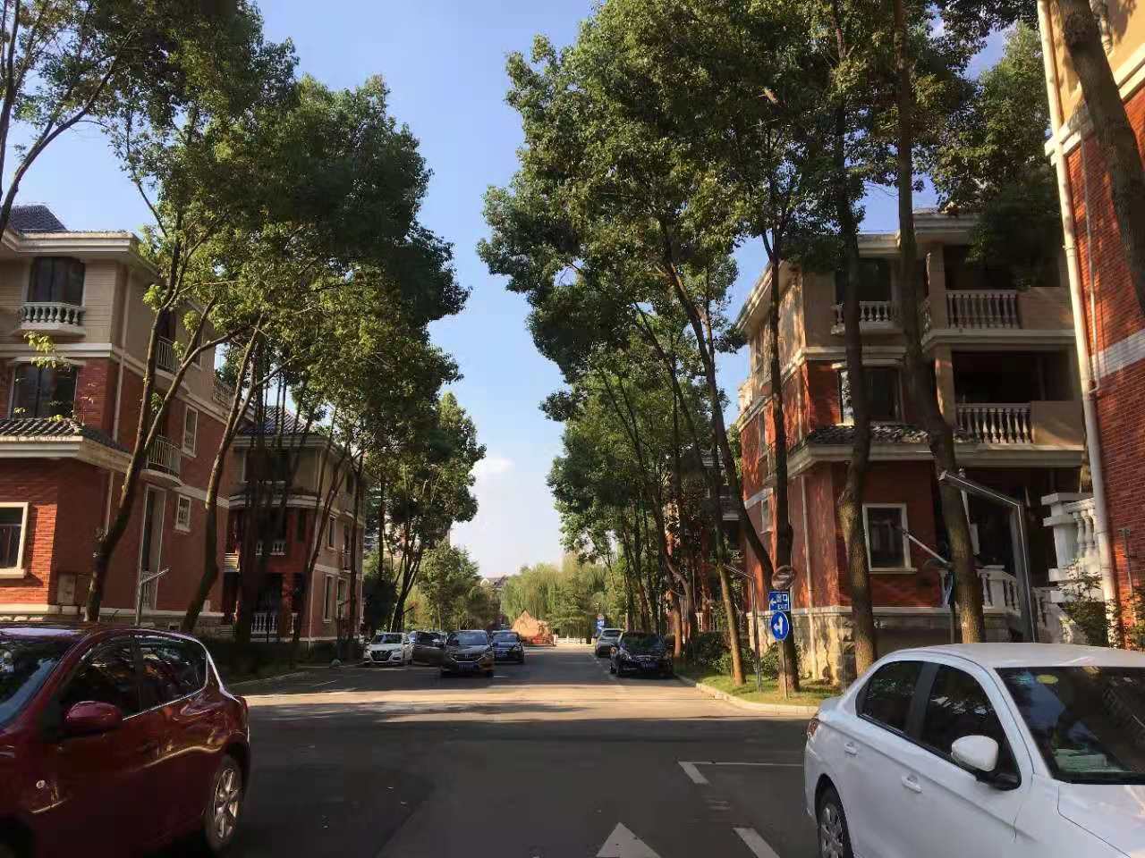 武汉卓峰地产最新动态揭秘，最新进展与动态更新