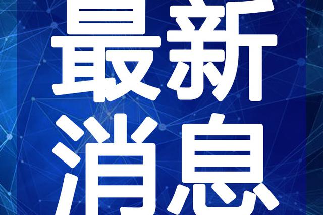 蓝旗鱼小夕最新视频全攻略，观赏与学习技能指南