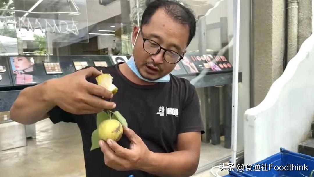 纨绔农民最新章节列表速递